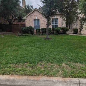 residential landscaping by Greenxblades reviewed on August 16, 2025