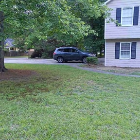 Bush Trimming by NMH Renovations&amp;landscaping LLC reviewed on July 4, 2026