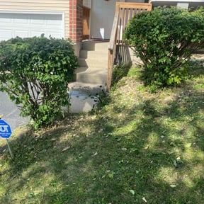 Bush Trimming by Green Garden The Woodlands reviewed on November 9, 2025