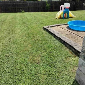 lawn care by Total Landscaping reviewed on July 11, 2022
