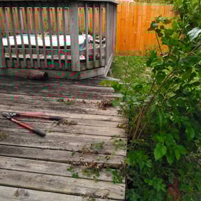 Bush Trimming by Willow Hill Landscaping & Lawn Care reviewed on August 19, 2025