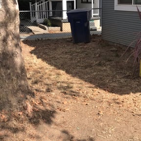 Leaf Removal by Rivs Landscaping Care reviewed on August 19, 2025