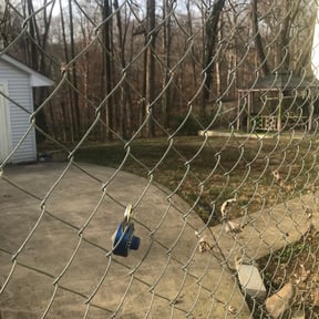 Leaf Removal by 2 Natives Hands Landscaping reviewed on August 13, 2025