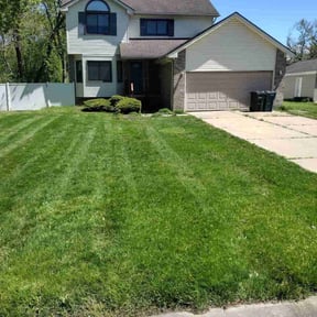 residential landscaping by V.i..y Lawn care services reviewed on August 16, 2025