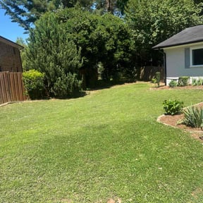 yard service by H &amp; S Lawn Service. reviewed on December 6, 2025