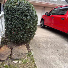 Bush Trimming by K and E Naturals LLC reviewed on May 4, 2023