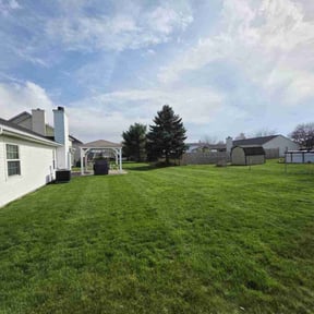 yard maintenance by S&J Lawn Services reviewed on August 17, 2025