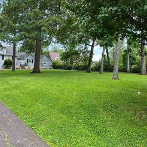 yard work by 662 Grass Monkey Lawn SVC reviewed on August 21, 2025