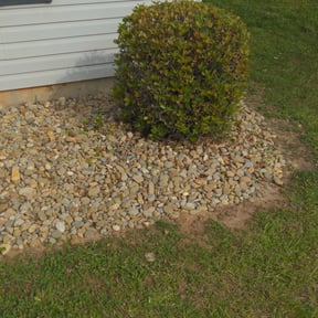 Bush Trimming by Diesel Dog Lawn Care LLC reviewed on August 20, 2025