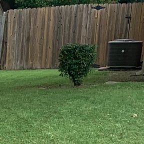 Bush Trimming by King of Lawn Care LLC reviewed on April 4, 2024