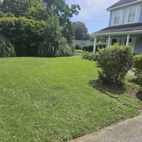 landscape maintenance by Transformed reviewed on December 4, 2025