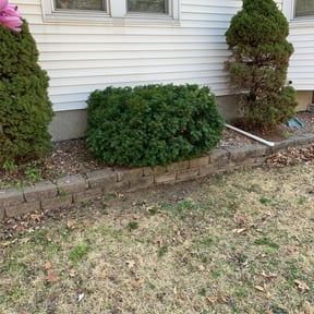 Bush Trimming by Orange County Lawn Care reviewed on August 19, 2025