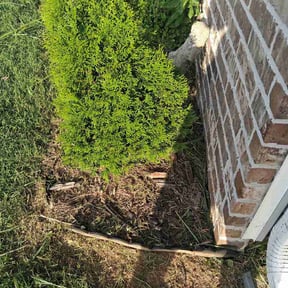 Flower Bed Weeding by Las Tortugas LLC reviewed on May 29, 2026