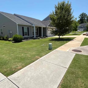 residential landscaping by Mr Kut It LLC reviewed on August 20, 2025