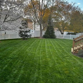 lawn maintenance by LKN Lawn Solutions reviewed on August 21, 2025