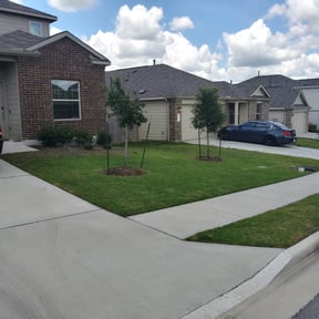 yard maintenance by Revival Landscaping Pittsburgh reviewed on August 16, 2025