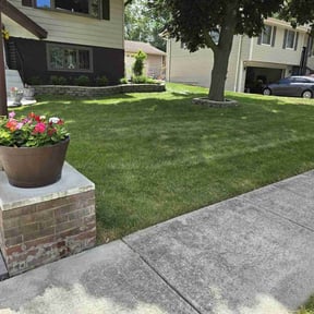 lawn care services by Mow Ohio reviewed on August 2, 2023