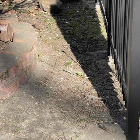 Leaf Removal by Jeff Sidener reviewed on September 24, 2025