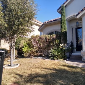 Bush Trimming by Green Earth Lawn and snow LLC reviewed on August 21, 2025