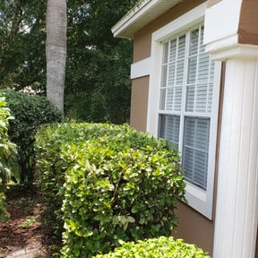 Bush Trimming by King Family Acquisition & Management reviewed on August 21, 2025