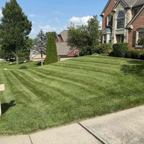 yard care by Genee Buckner reviewed on August 19, 2025