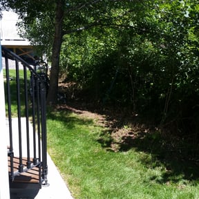 Bush Trimming by Quality & Royalty Network Solutions reviewed on August 21, 2025