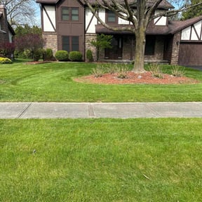 residential landscaping by Greasy Monkey Mower reviewed on August 15, 2025