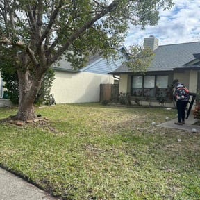 lawn service by Excellence construction and maintenance reviewed on July 8, 2025