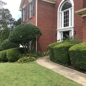 Bush Trimming by Barrett trimmings reviewed on August 15, 2025