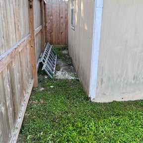 Bush Trimming by Verde Lawncare reviewed on August 15, 2025