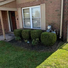 Bush Trimming by Hernandez Family Lawn reviewed on June 13, 2025