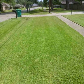landscaping by Landscaping and Lawn Works reviewed on August 15, 2025