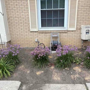 Flower Bed Weeding by Las Tortugas LLC reviewed on August 18, 2026
