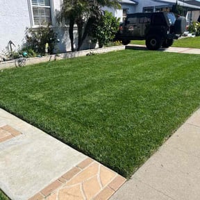yard service by Campbell's lawns reviewed on August 20, 2025