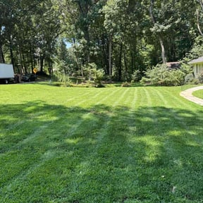 residential landscaping by All works llc reviewed on December 23, 2025