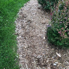 Flower Bed Weeding by Dem Boyz N Girlz Lawn Services reviewed on August 18, 2025