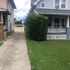 Bush Trimming by All Love It reviewed on October 3, 2023