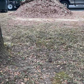 Leaf Removal by Ramos Landscaping LLC reviewed on March 14, 2026