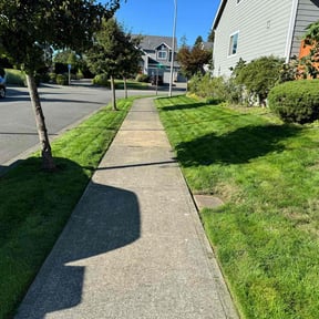 landscape maintenance by Richard Crites reviewed on August 19, 2025
