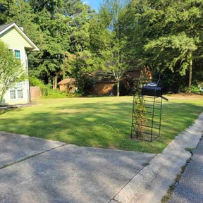 lawn care services by Anthony's Lawn and Maintenance reviewed on July 15, 2023