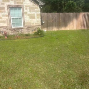 Bush Trimming by Nestorlawncare reviewed on May 10, 2026
