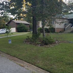 Bush Trimming by Priority landscaping reviewed on August 19, 2025