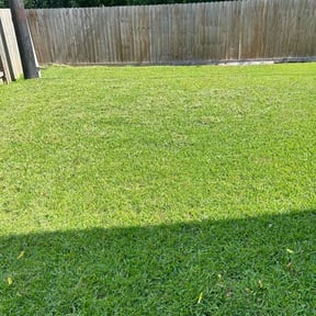 Bush Trimming by Heaven's Garden Lawn&Landscaping reviewed on August 15, 2025