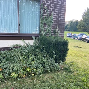 Bush Trimming by Marvel scapes reviewed on August 16, 2025