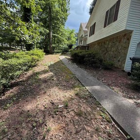 Bush Trimming by Dave&#039;s Lawncare reviewed on November 24, 2025