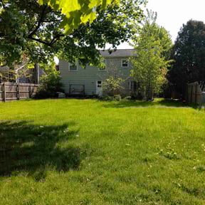residential landscaping by BERGEN LAWNS & LANDSCAPING LLC reviewed on August 17, 2025