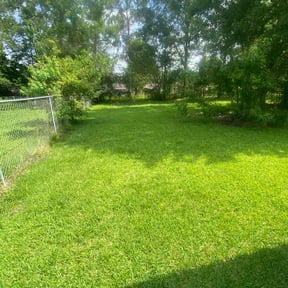 landscaping by Bean Sprout Lawn Service LLC reviewed on November 25, 2025