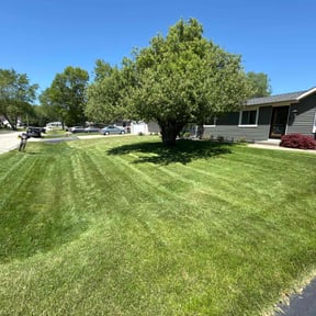 grass maintenance by Stripes LLC reviewed on August 25, 2024