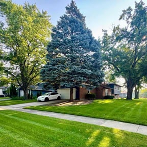 yard service by Pristine Properties LHS reviewed on August 16, 2025