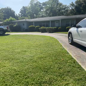 lawn maintenance by Ready set Mo reviewed on April 29, 2024